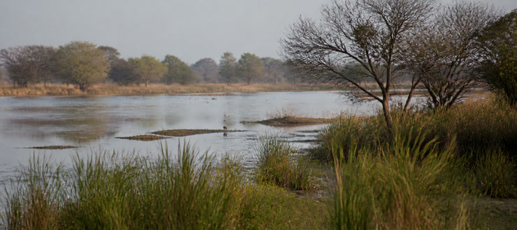 Bharatpur